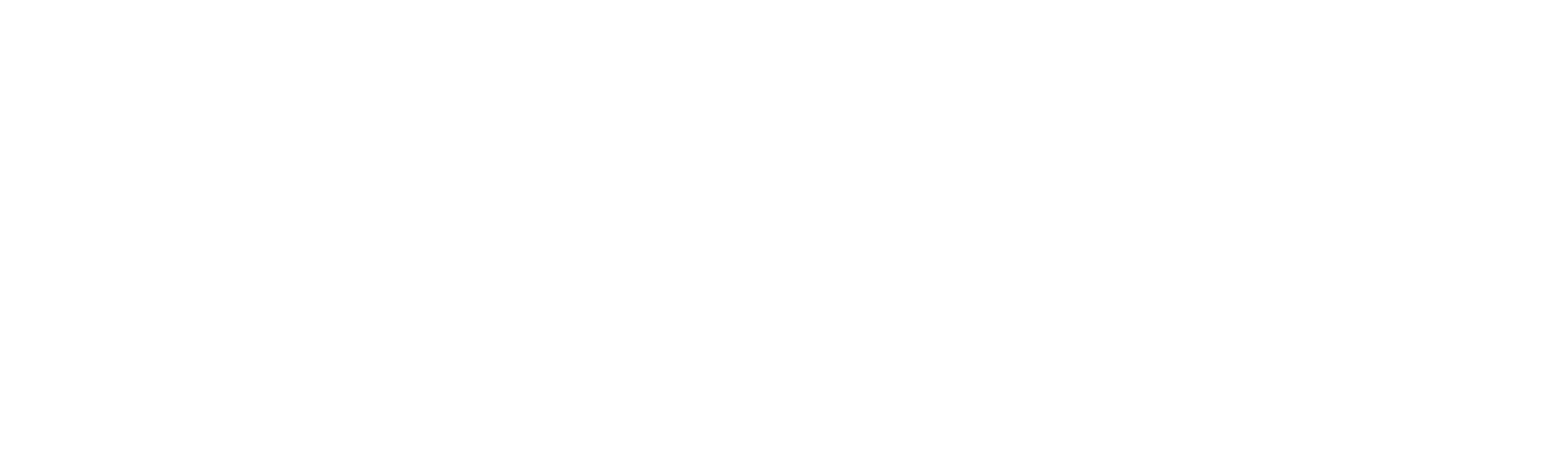 SANDBURGRITTER® SHOP LOGO weiss