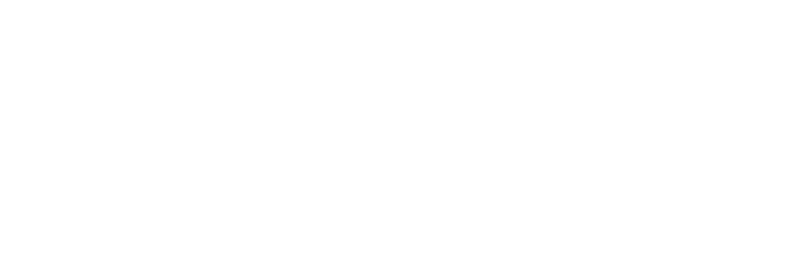 SANDBURGRITTER® SHOP • OFFIZIELLES LOGO •  www.sandburgritter.shop